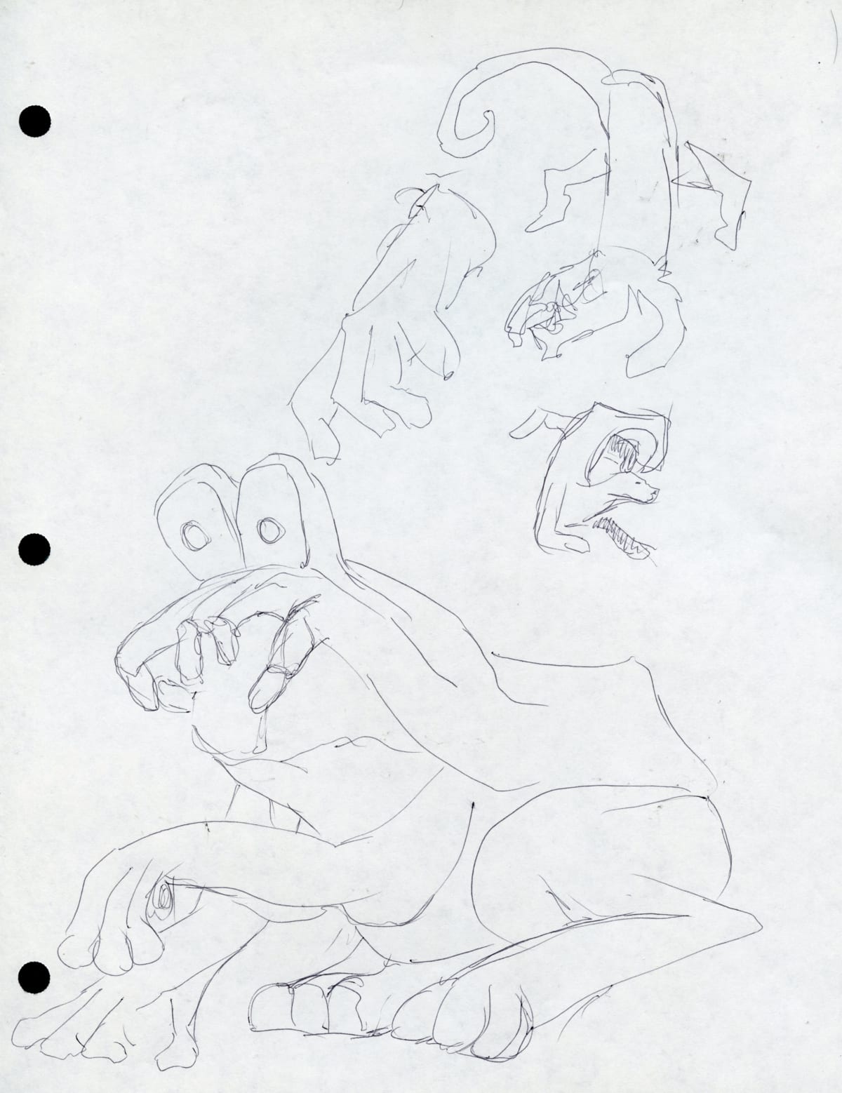 DRW 005